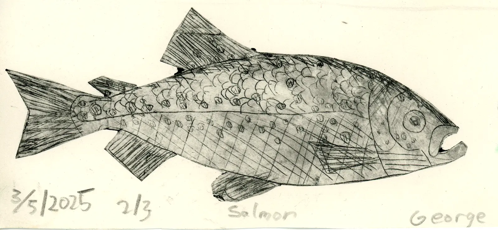 Salmon by George